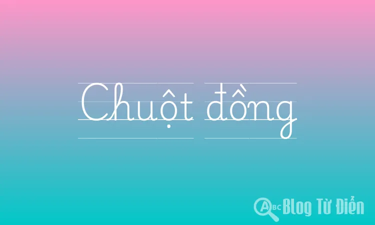 Chuột đồng