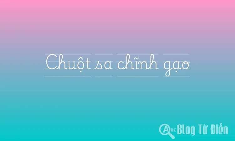Chuột sa chĩnh gạo