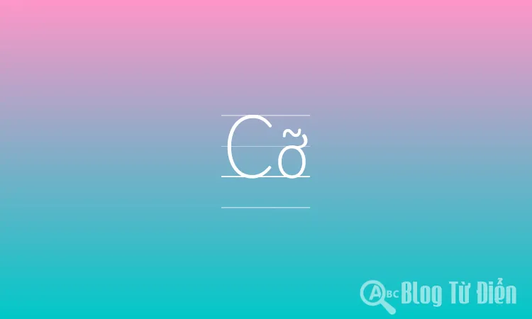 Cỡ