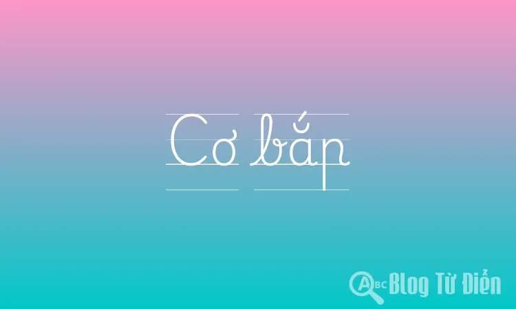 Cơ bắp