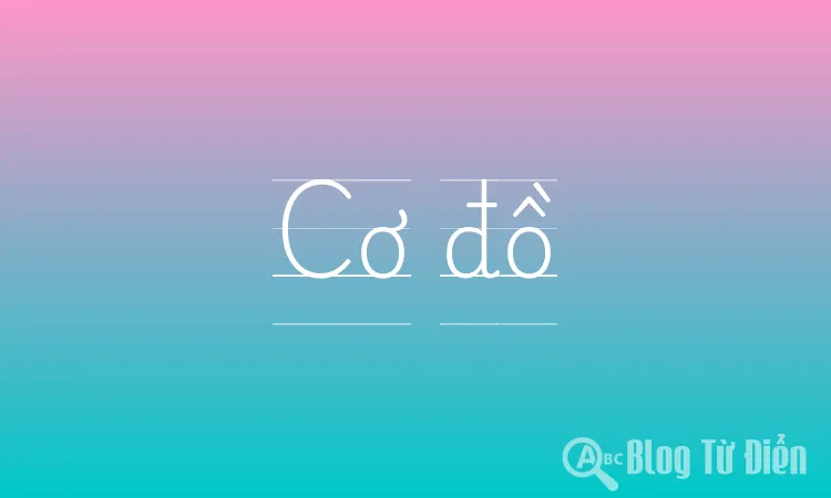 Cơ đồ