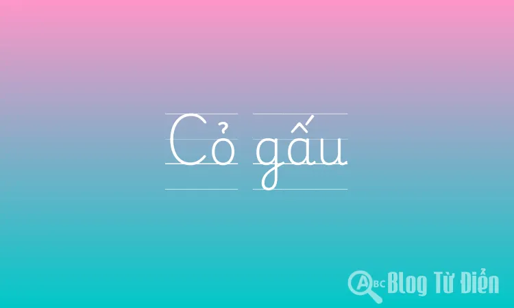 Cỏ gấu