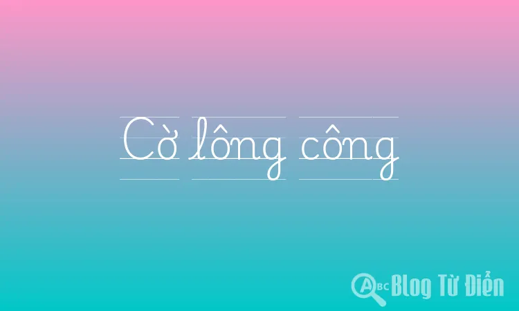 Cờ lông công