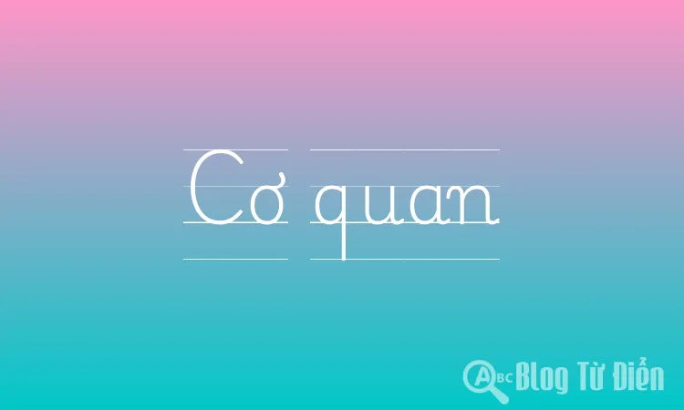 Cơ quan