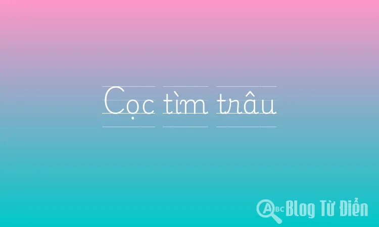 Cọc tìm trâu