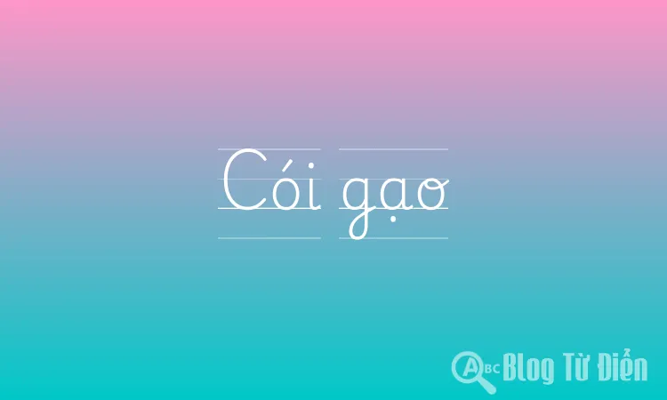Cói gạo