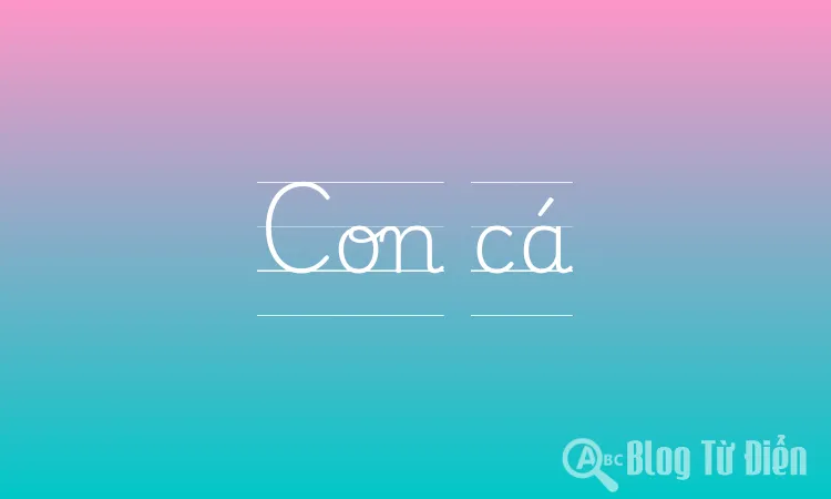 Con cá
