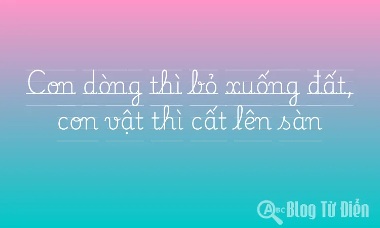 Con dòng thì bỏ xuống đất, con vật thì cất lên sàn