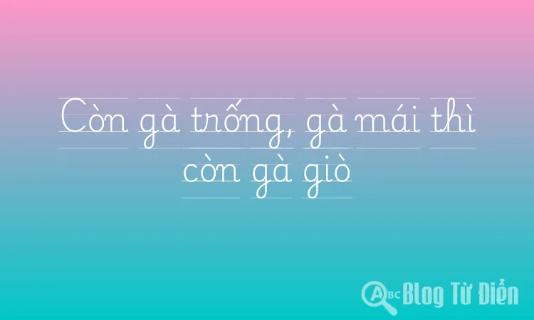 Còn gà trống, gà mái thì còn gà giò