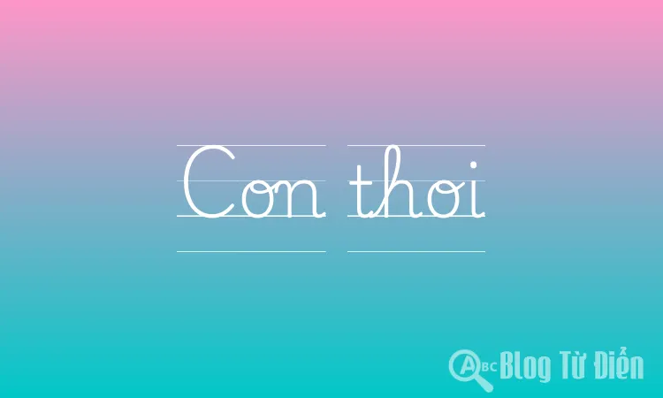 Con thoi