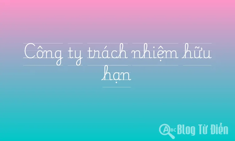 Công ty trách nhiệm hữu hạn