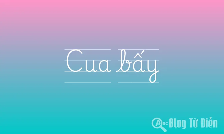 Cua bấy