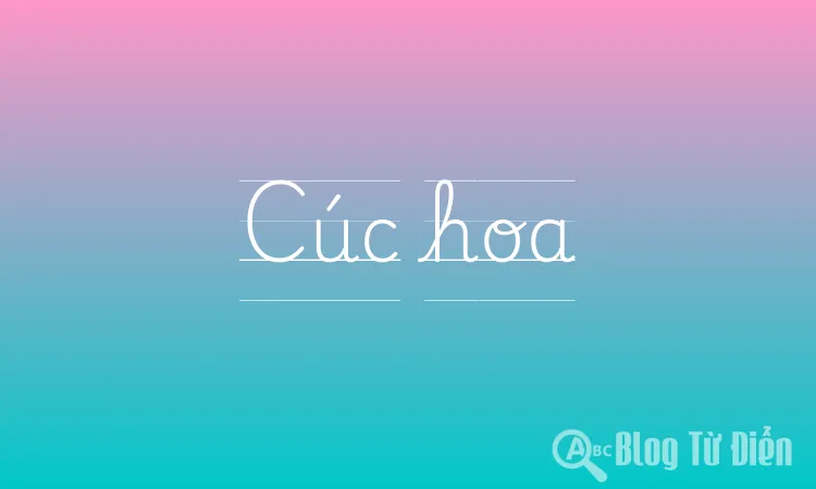 Cúc hoa