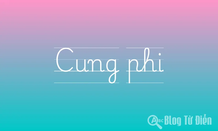 Cung phi