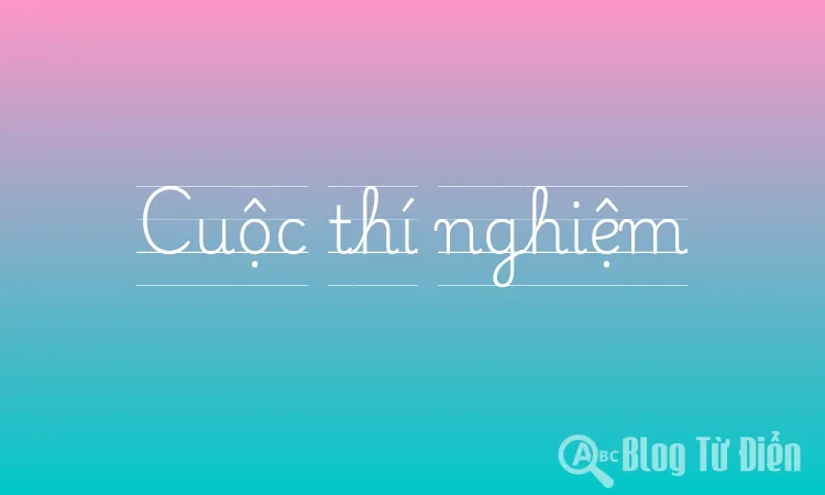 Cuộc thí nghiệm