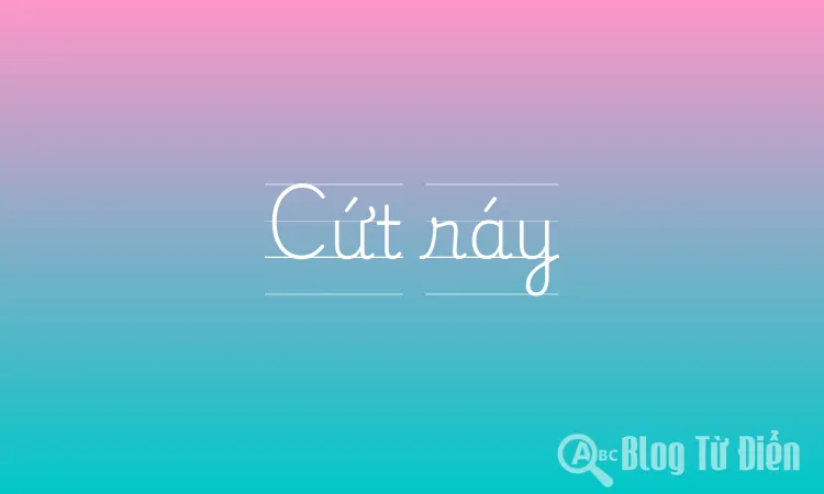 Cứt ráy