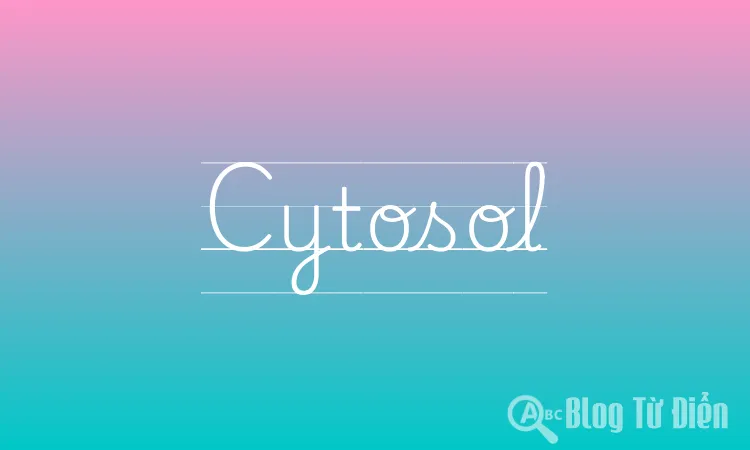 Cytosol
