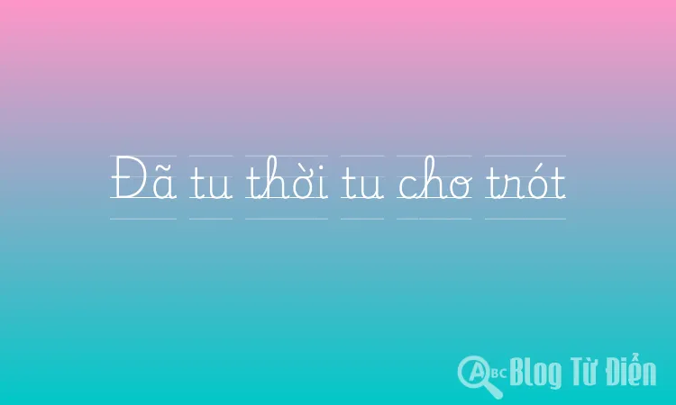 Đã tu thời tu cho trót