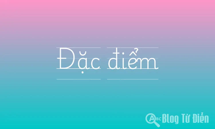 Đặc điểm