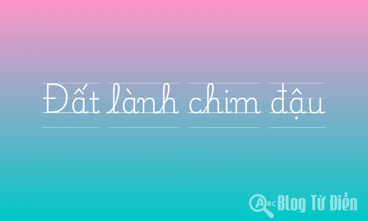 Đất lành chim đậu