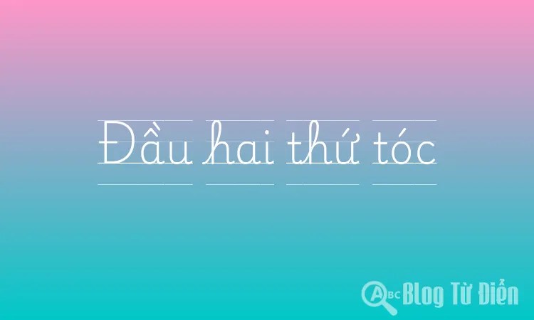 Đầu hai thứ tóc