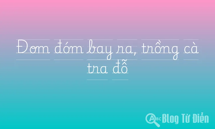 Đom đóm bay ra, trồng cà tra đỗ