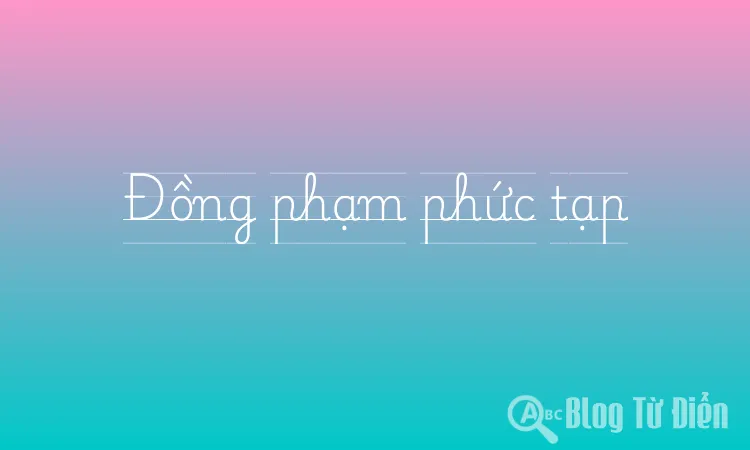 Đồng phạm phức tạp