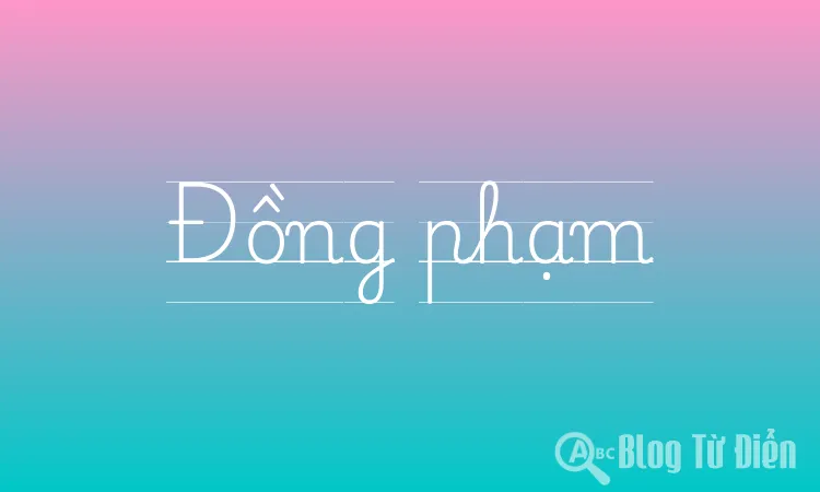 Đồng phạm