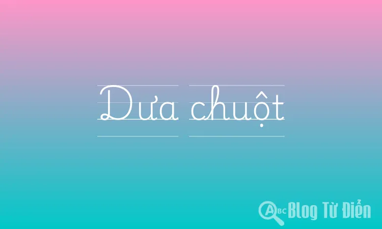 Dưa chuột