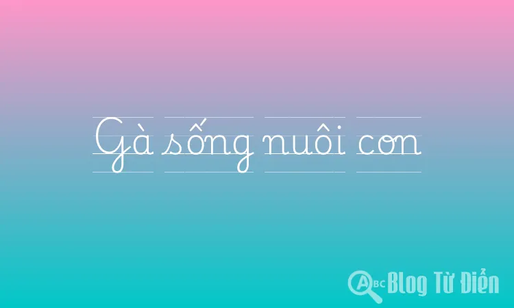 Gà sống nuôi con