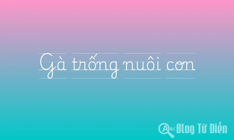 Gà trống nuôi con