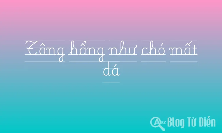 Tâng hẩng như chó mất dá