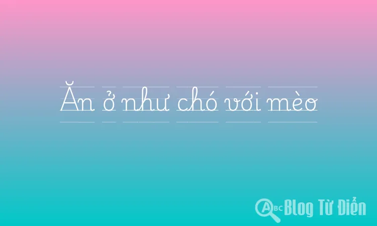 Ăn ở như chó với mèo