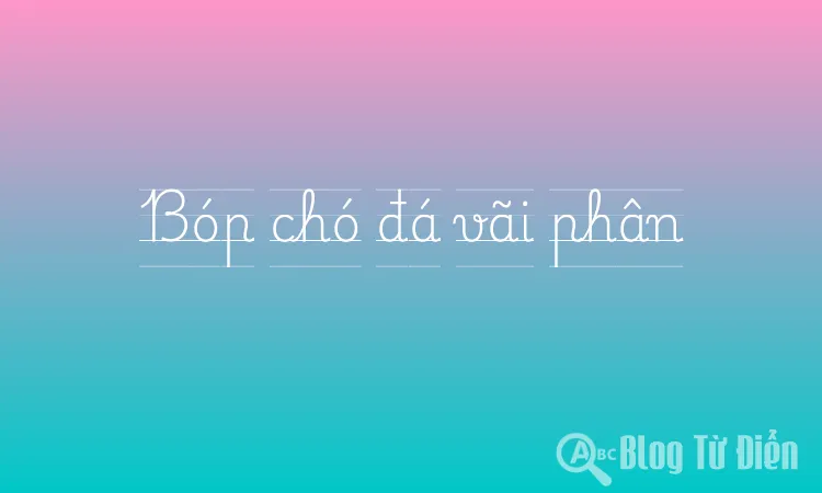 Bóp chó đá vãi phân