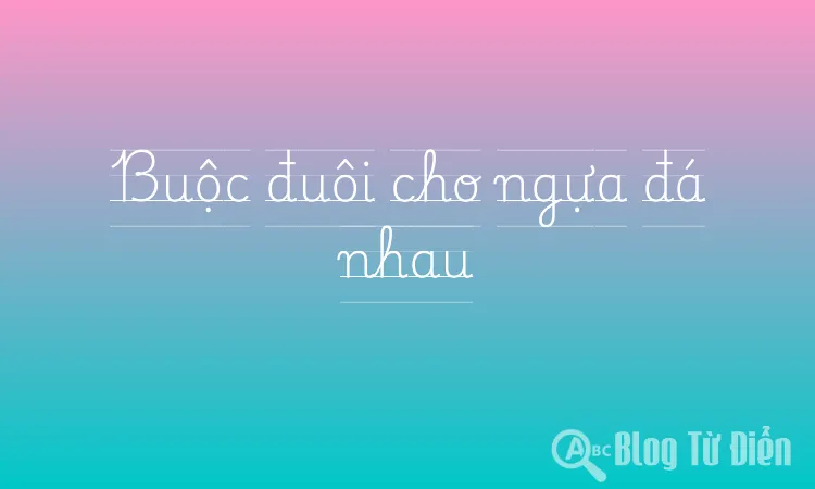 Buộc đuôi cho ngựa đá nhau