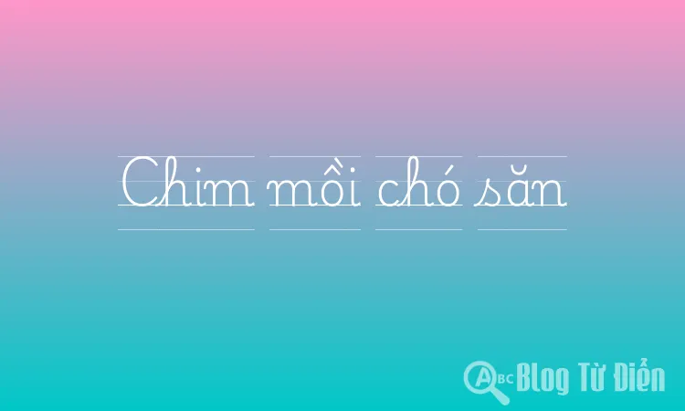 Chim mồi chó săn