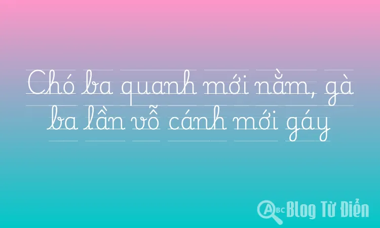 Chó ba quanh mới nằm, gà ba lần vỗ cánh mới gáy