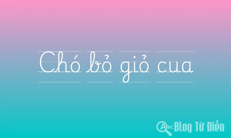 Chó bỏ giỏ cua