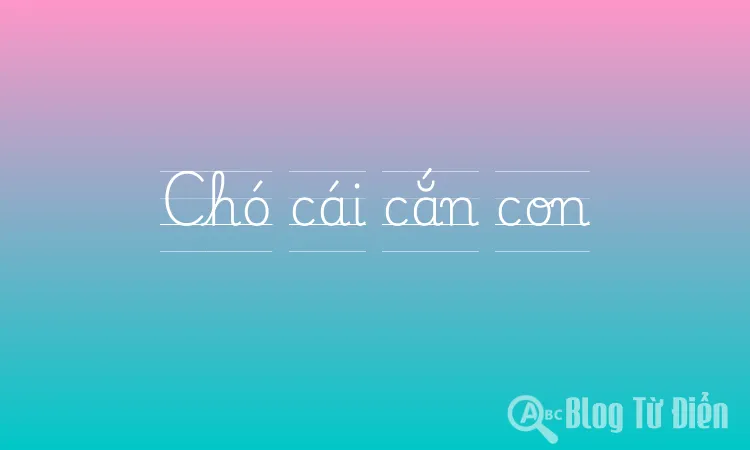Chó cái cắn con