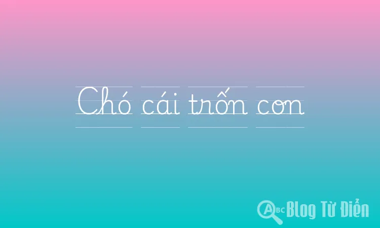 Chó cái trốn con