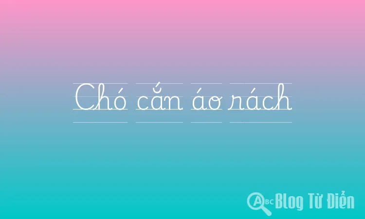 Chó cắn áo rách