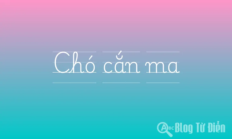 Chó cắn ma