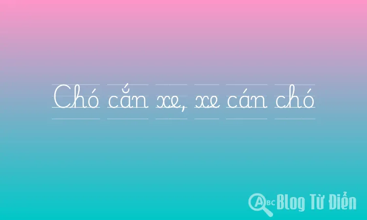 Chó cắn xe, xe cán chó