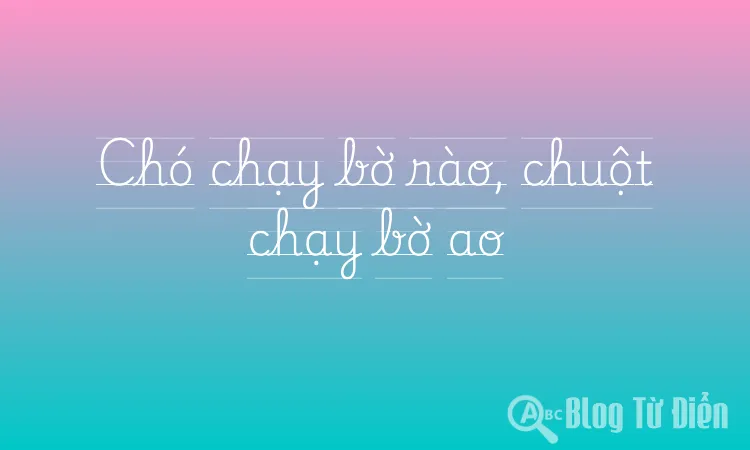 Chó chạy bờ rào, chuột chạy bờ ao