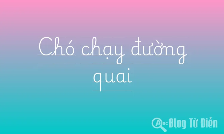 Chó chạy đường quai