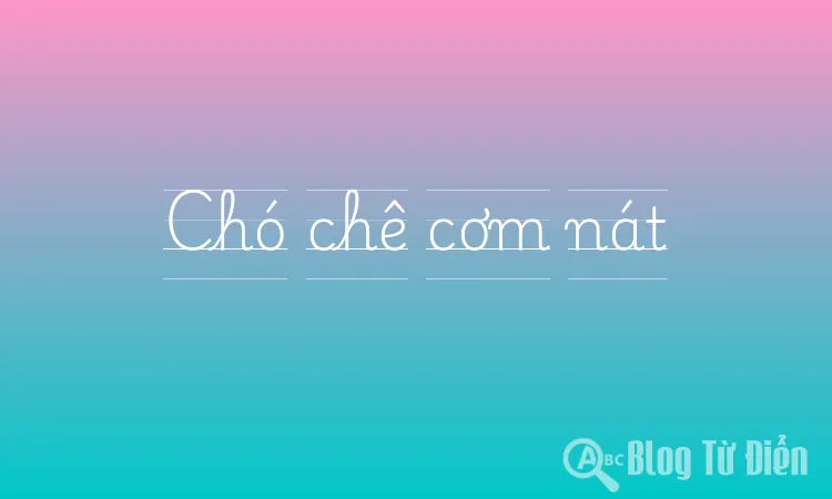 Chó chê cơm nát