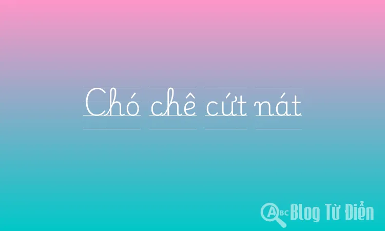 Chó chê cứt nát