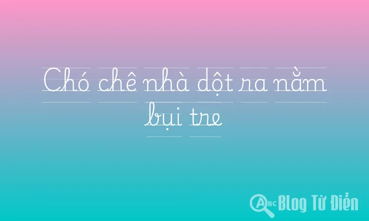 Chó chê nhà dột ra nằm bụi tre