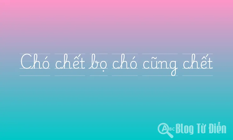 Chó chết bọ chó cũng chết