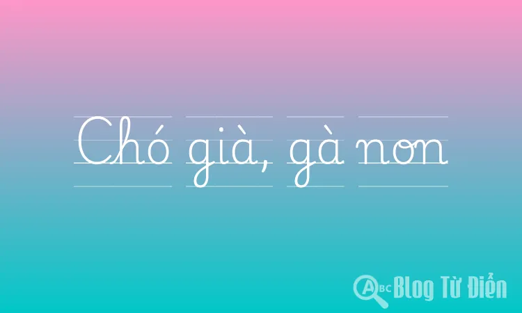 Chó già, gà non